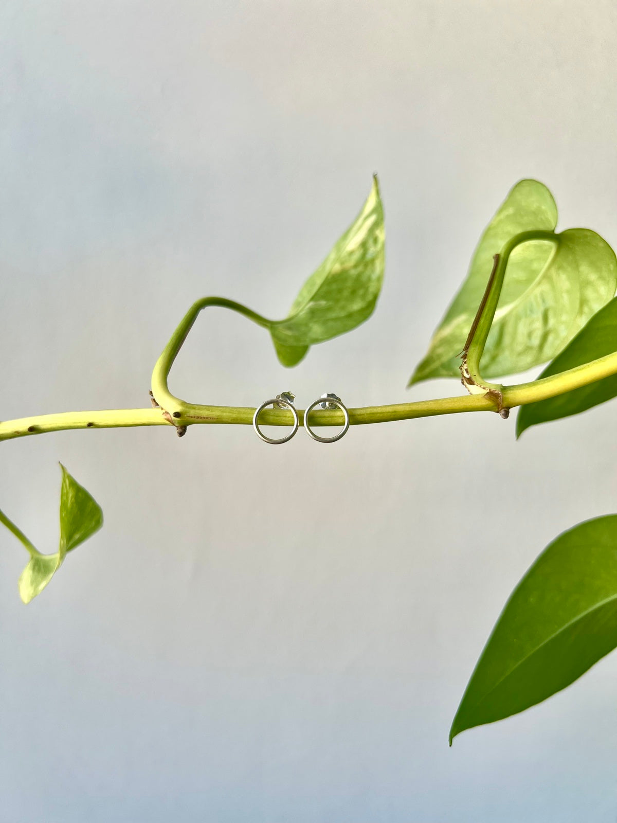 Fine Circle