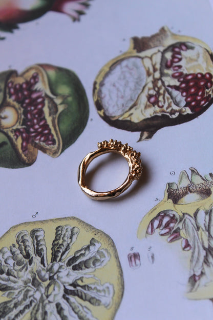 Anello Circe 2.0