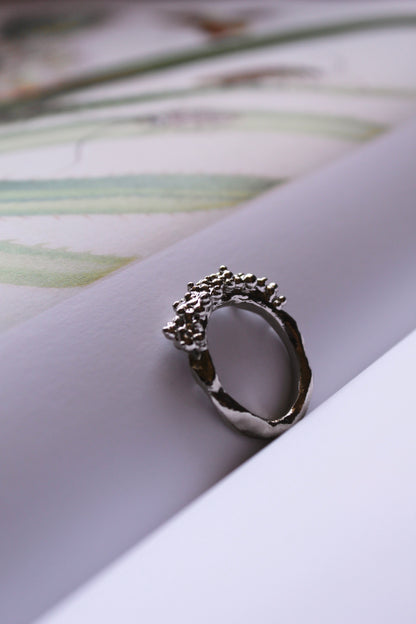 Anello Circe 2.0