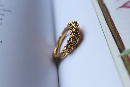 Anello Circe 2.0