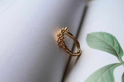 Anello Circe 2.0