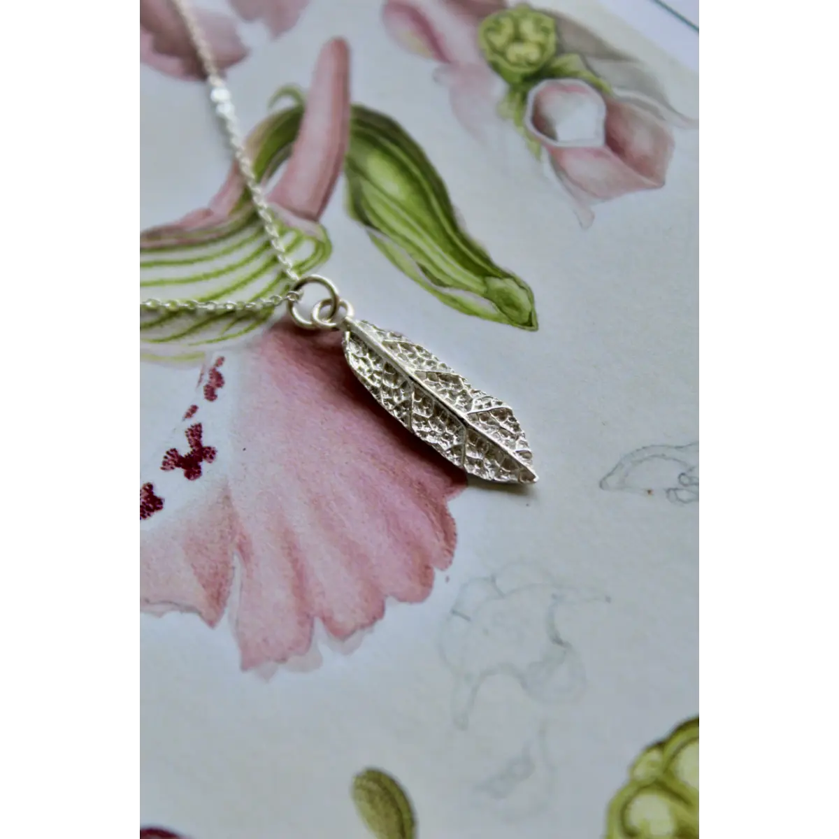 Collana Alba