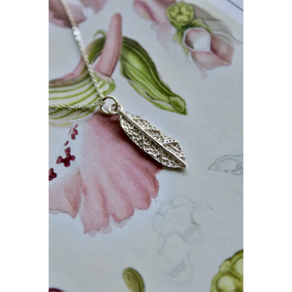Collana Alba
