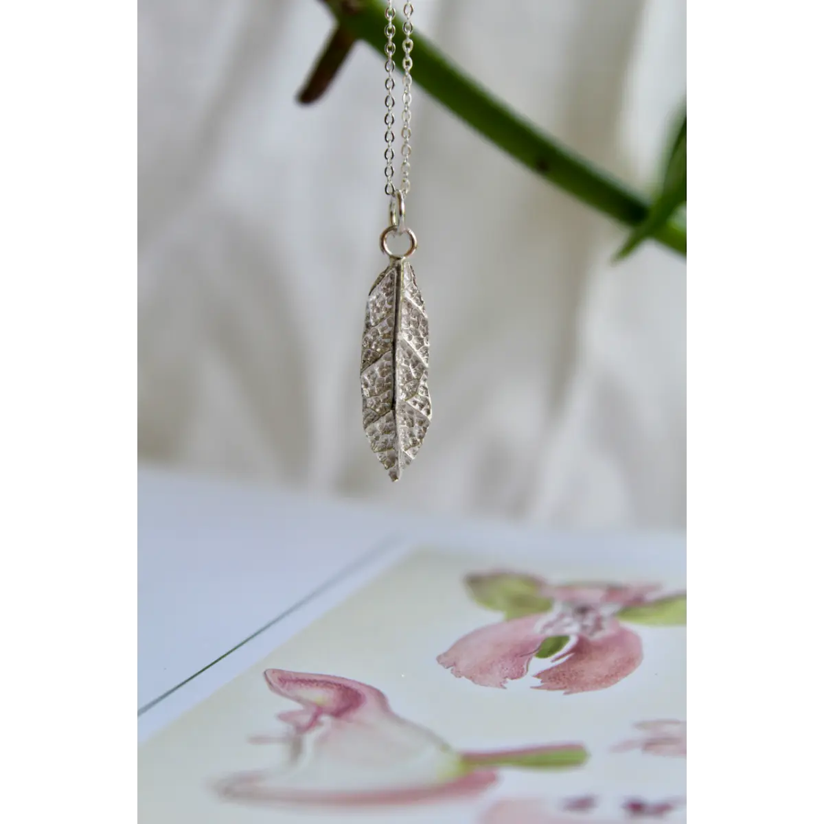 Collana Alba