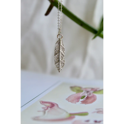 Collana Alba