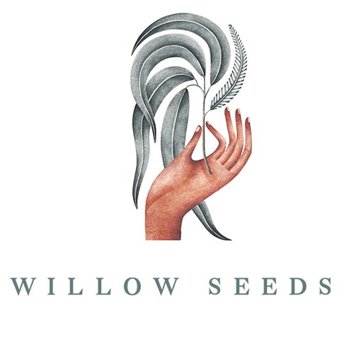 willowseeds